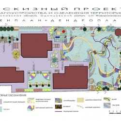 Проект ландшафтного дизайна участка 20 соток дендроплан - вар 1